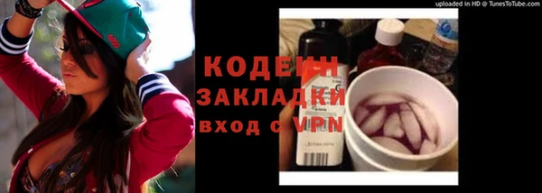 дживик Иннополис