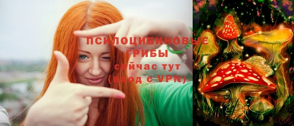 гашиш Заводоуковск