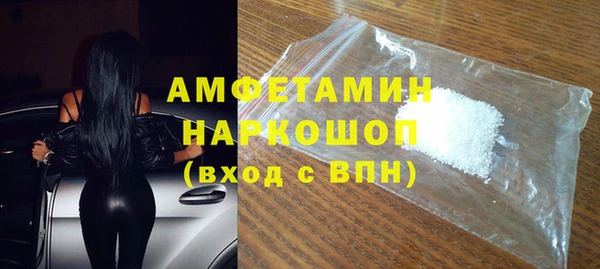 гидра Елизово