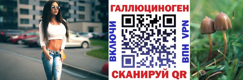 Псилоцибиновые грибы прущие грибы  где купить наркоту  Ессентуки 
